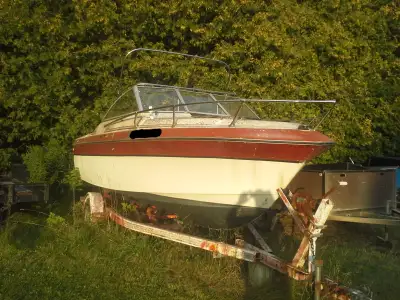 1984 Sea Ray 19ft Cuddy project boat 1989 135hp Sea Ray edition extra long shaft Mercury. SS prop, O...