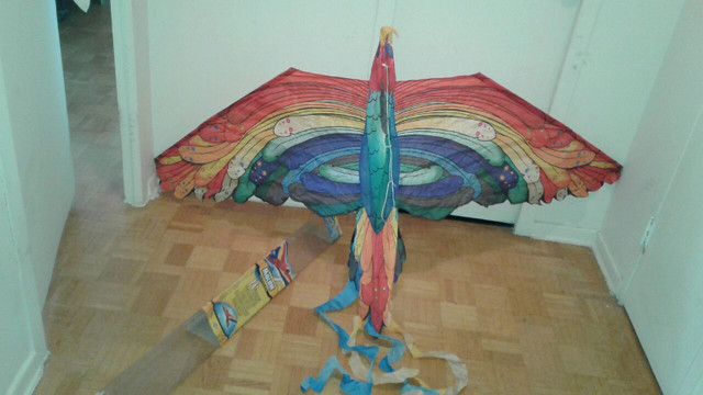 Kites 2 to choose from bird patterns 6 ft wingspan $20 each in Hobbies & Crafts in City of Toronto