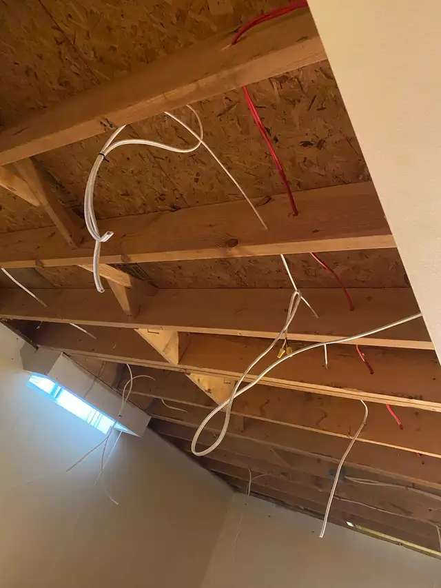 Master Electrician 584651910373058563