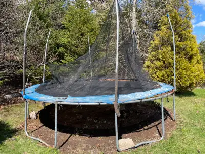 Free Trampoline!, View more