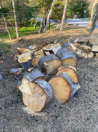 Free wood PINE large pieces