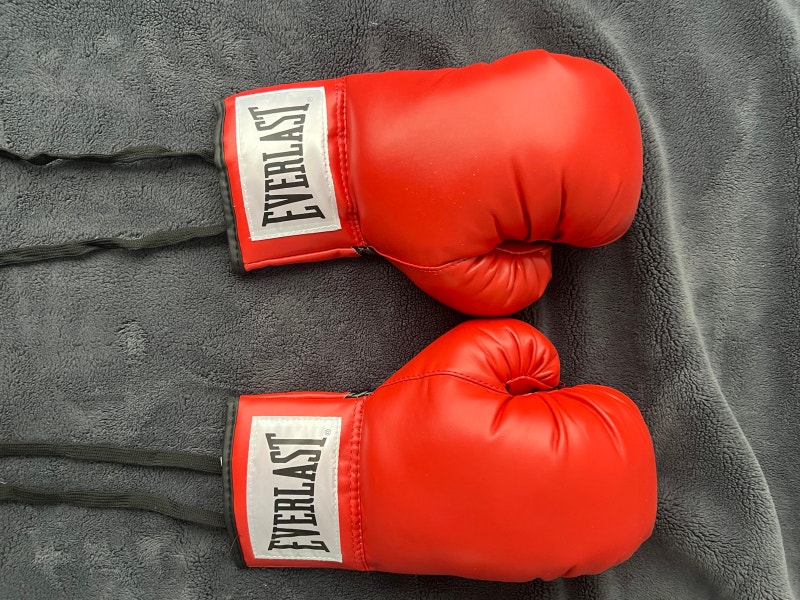 Everlast lace up boxing gloves Exercise Equipment City of Toronto