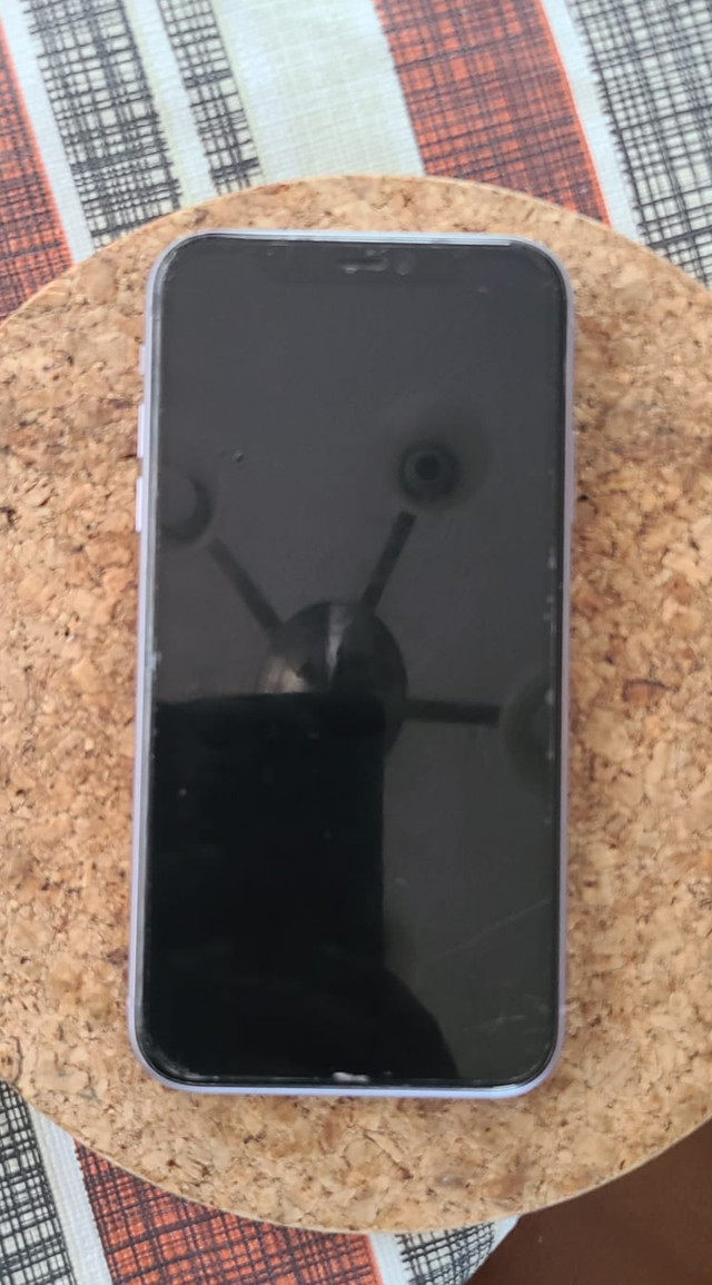 IPHONE 11 (BROKEN) 2 CASES AND CHARGER CORD in Cell Phones in Winnipeg