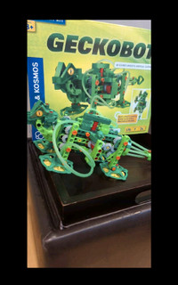 Geckobot educational Toy