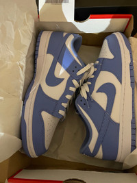 For sale brandnew DS Nike dunk low “Polar blue”Size 10.5