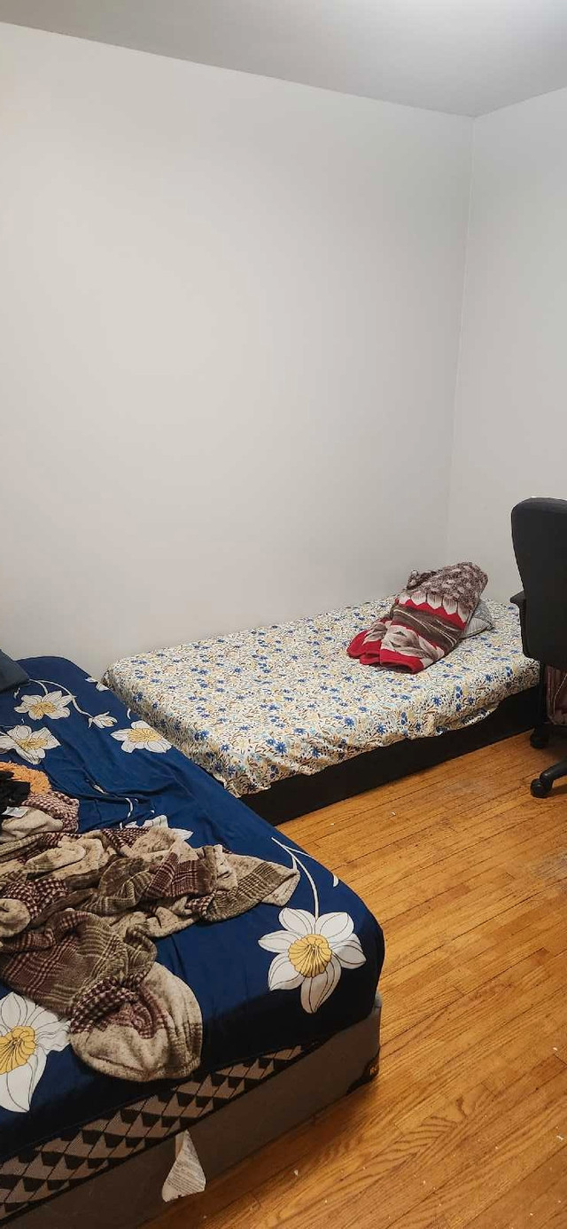 Room sharing in Room Rentals & Roommates in City of Toronto - Image 4