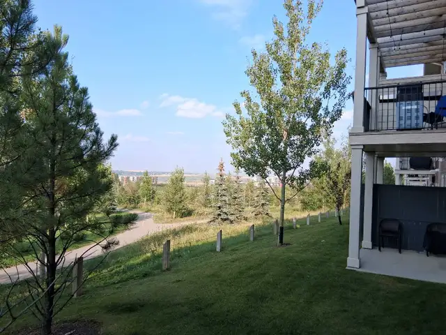 Walk out basement for rent