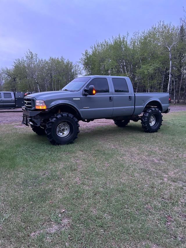 2004 Ford Offroad truck in Cars & Trucks in Edmonton - Image 2