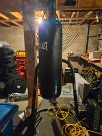 Selling my punching bag along with the stand and gloves