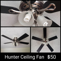 Ceiling Fan / Light