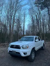 Clean, Affordable Tacoma!