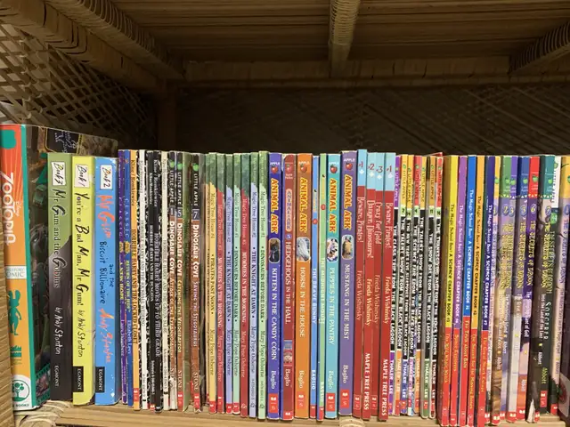 Children's Novels and Chapter Books, Over 100! in Children & Young Adult in Kingston - Image 10