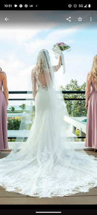 Wedding dress with matching veil
