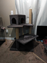 Free used Cat tree/ Scratch post