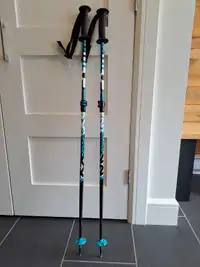 Bâtons de ski alpin ajustables (75-105 cm)