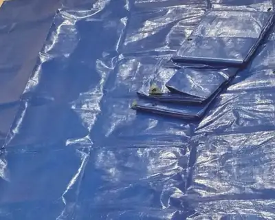 Tarps (blue), View more