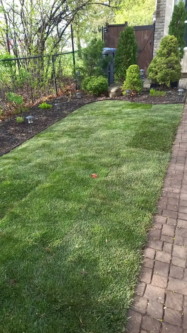 Sod-Supply & Install 62863270919043121