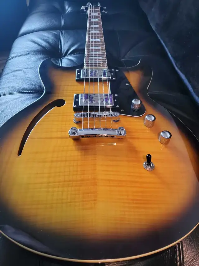 Reverend Manta Ray HB - Semi-Hollow & Hard Case in Guitars in Mississauga / Peel Region - Image 7
