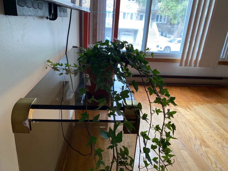 5 1/2 with full furnitures, 8min to metro St Micheal Locations longue