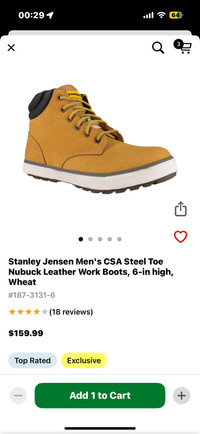 Safety / work boots