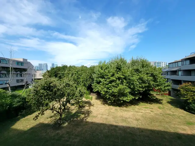 One Bedroom Apartment for Rent Next to Seawall