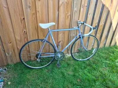 Bianchi tuned up road bicycle (23" frame), View more