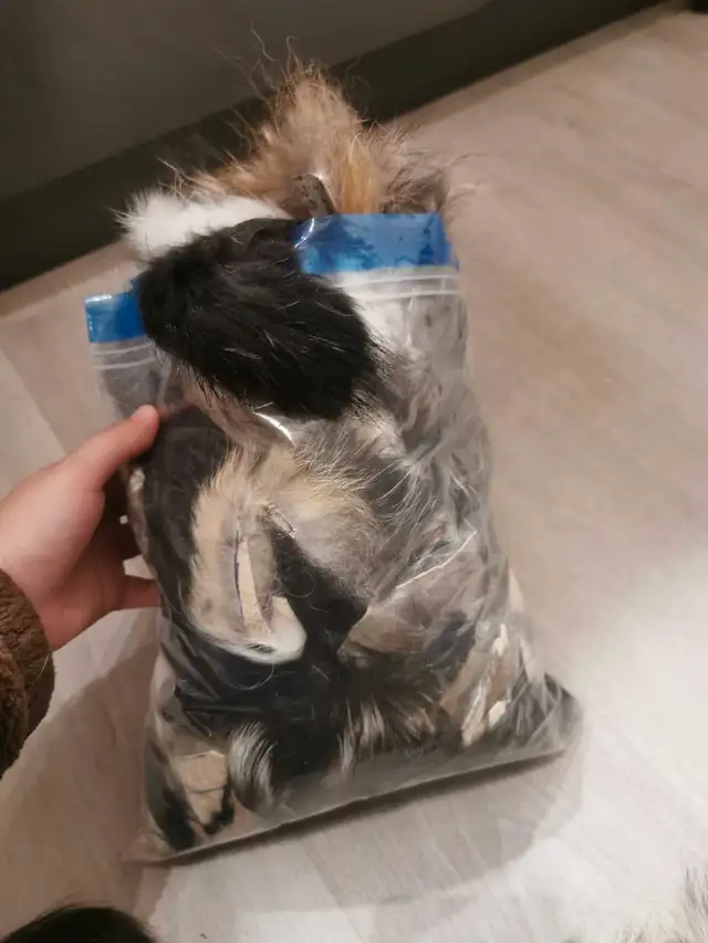fur trimmings62863268836355124