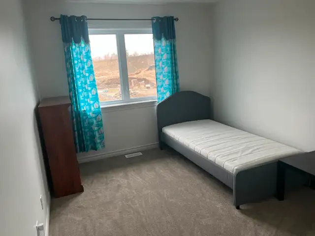 Private room with private bathroom for rent in Room Rentals & Roommates in Ottawa - Image 2