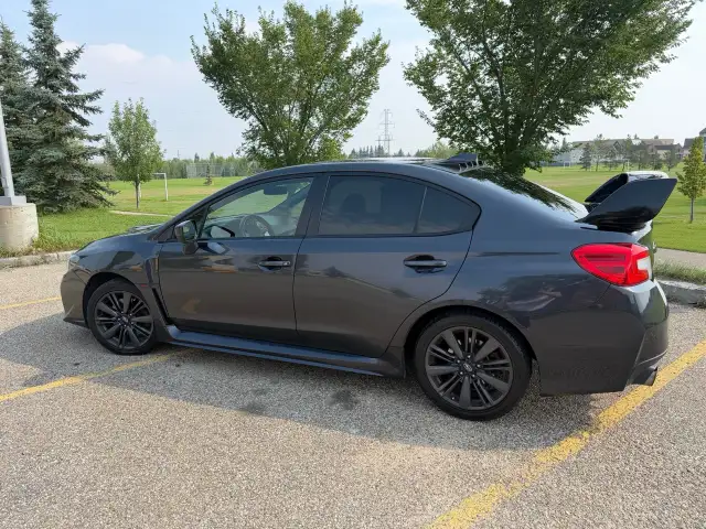 2017 Subaru WRX558375870127165442