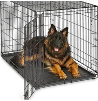 Cage  pour grand chien