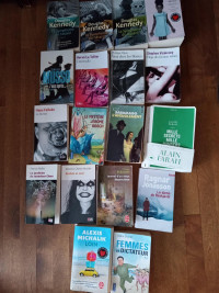 Lot de 18 romans contemporains (récents)