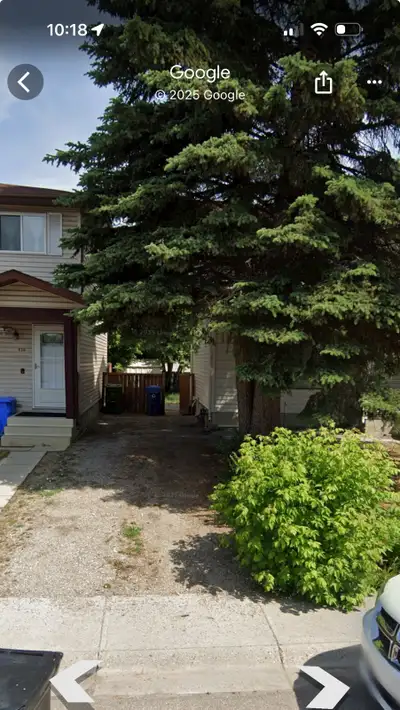 3-bedroom full house rent for January 1st in Abbeydel community NE