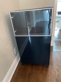 IKEA Liquor/Storage Cabinet