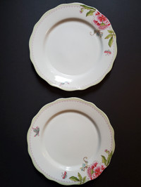 Two Portmeirion Dinner Plates