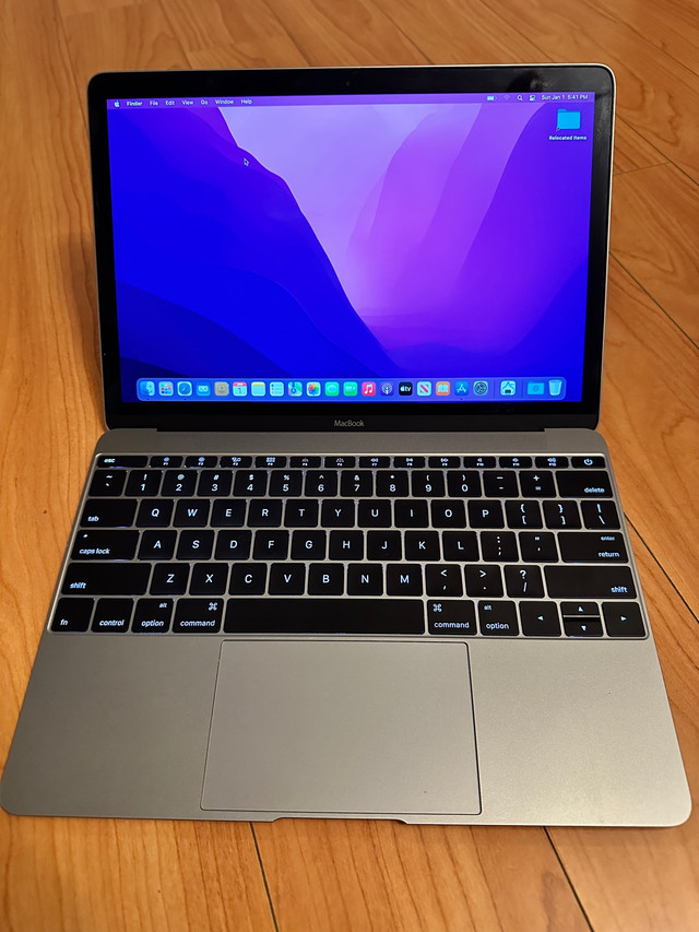 MacBook Retina 12 inch (early 2016). 8gb ram, 256gb ssd | Laptops