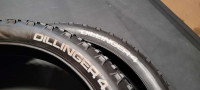 Dillinger 4 fatbike tires (pair)