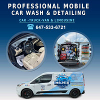Professional car detailing service 