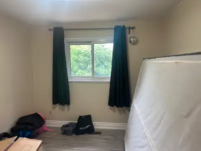 Room available for rent