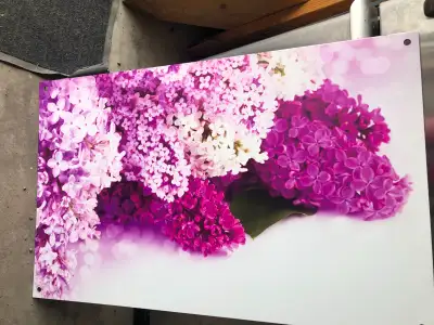 Colourful Lilac Picture, View more