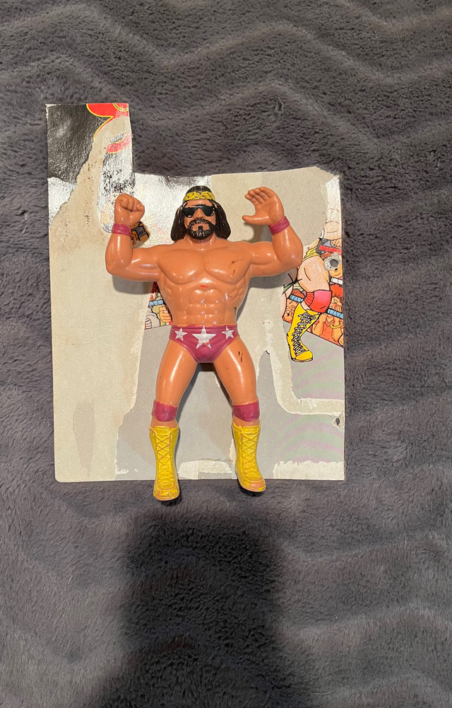 Ljn 2024 macho man
