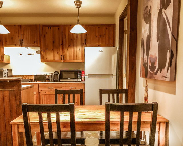 Appartement 1 chambre à louer – Mont-Tremblant in Quebec - Image 3