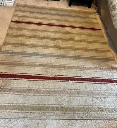 Used area Rug - In Great Shape!, View more