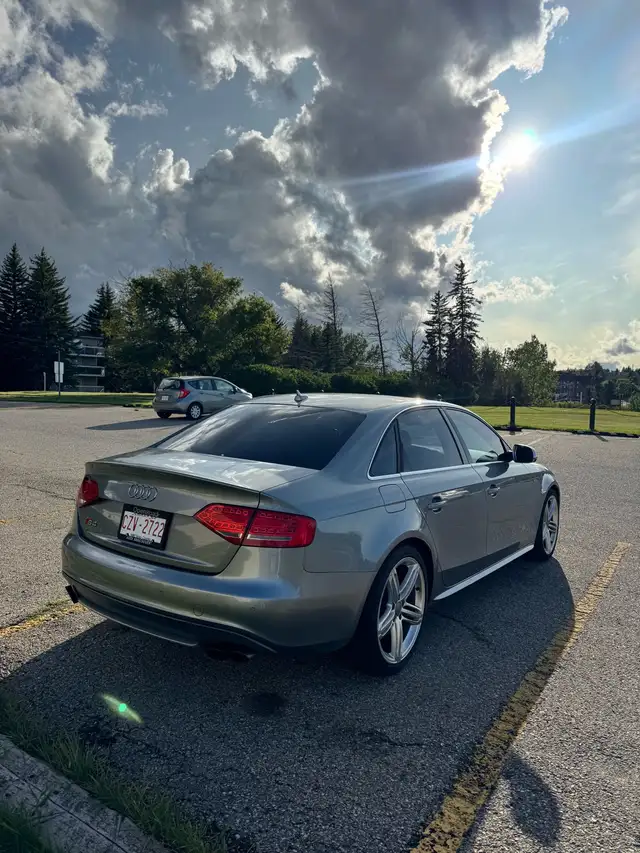2010 Audi S4562911446775244802