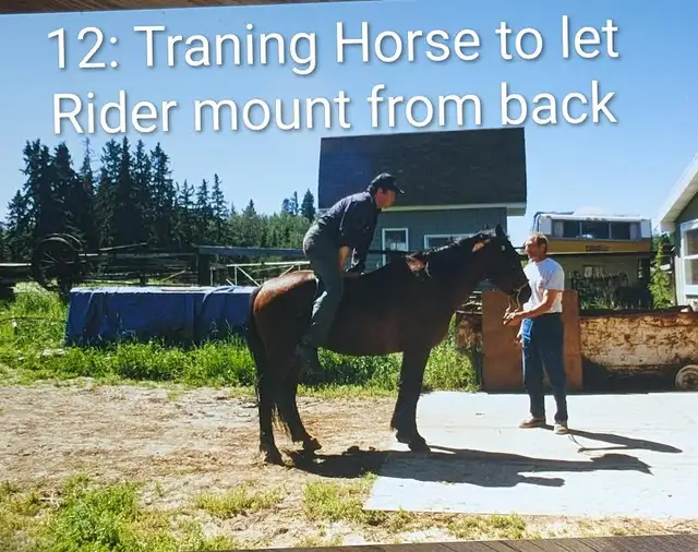 Learning to train horses438828896166891522