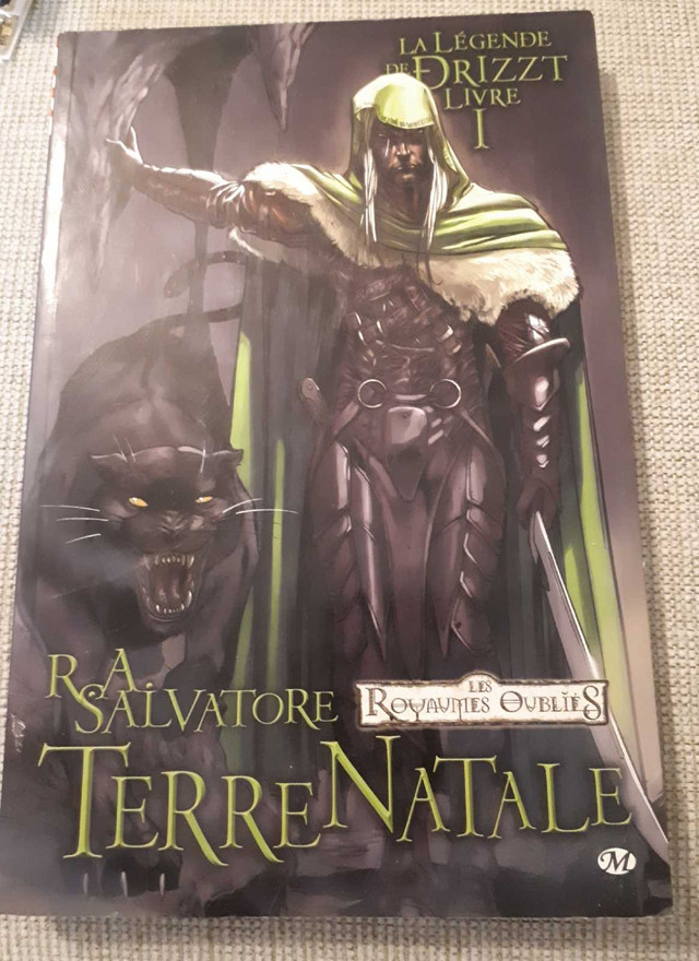 BD La légende de Drizzt Livre 1 Terre Natale Royaumes oubliés  dans Bandes dessinées  à Laval/Rive Nord