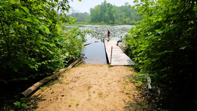 Waterfront Property Near Beach in Land for Sale in Owen Sound - Image 3