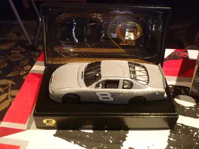 Dale Earnhardt Jr, View more