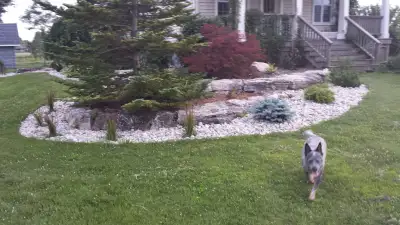 Room for rent $1000 all included with internet. Have all bedroom furniture if needed. No double occu...