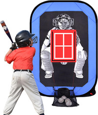 Baseball Pitch Target with Net and Strike Zone
