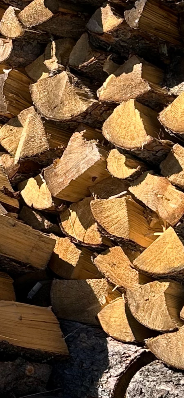 Firewood  for sale in BBQs & Outdoor Cooking in Calgary - Image 2